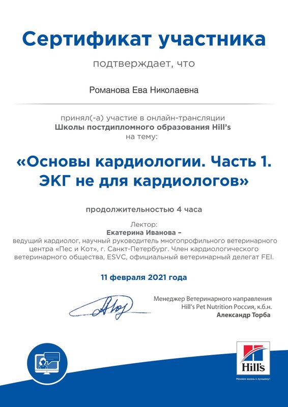 Документ или сертификат