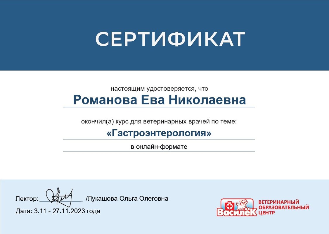 Документ или сертификат