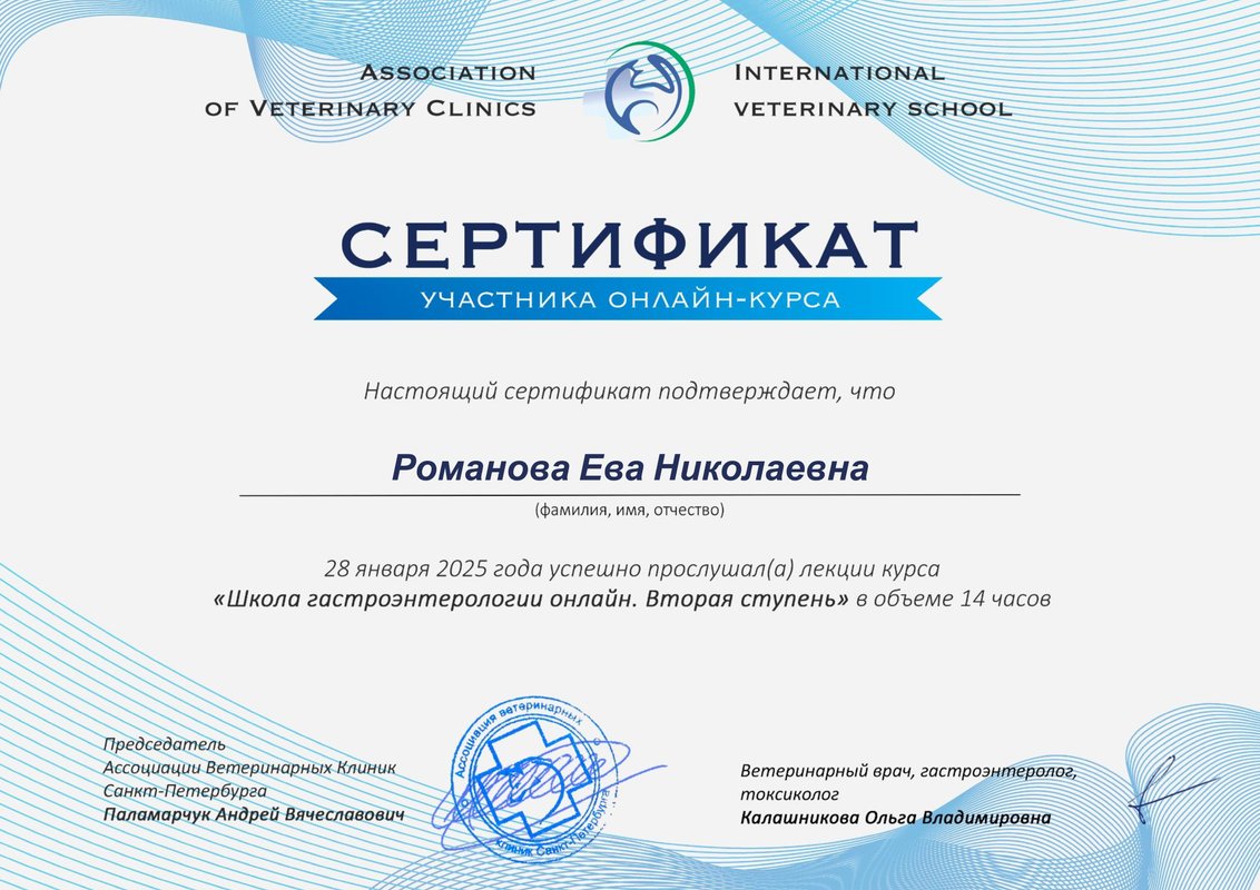Документ или сертификат