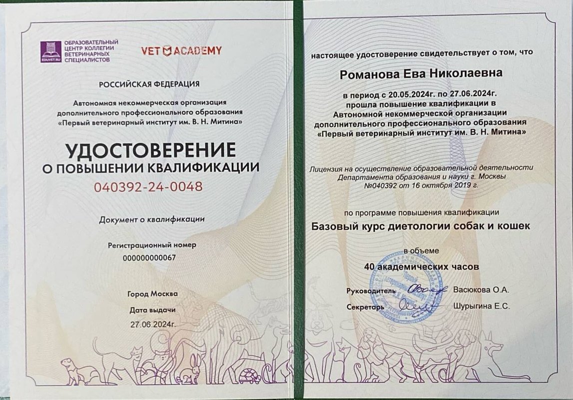 Документ или сертификат