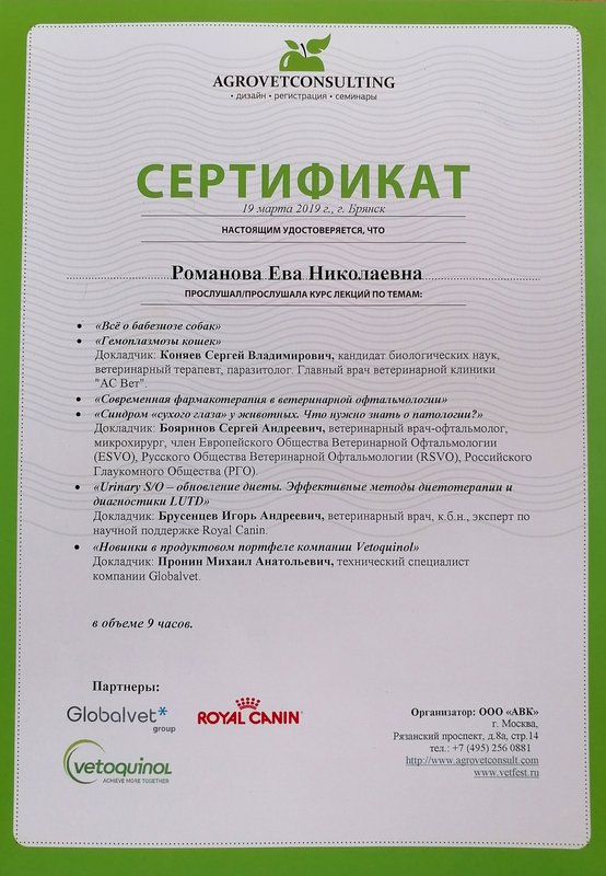 Документ или сертификат