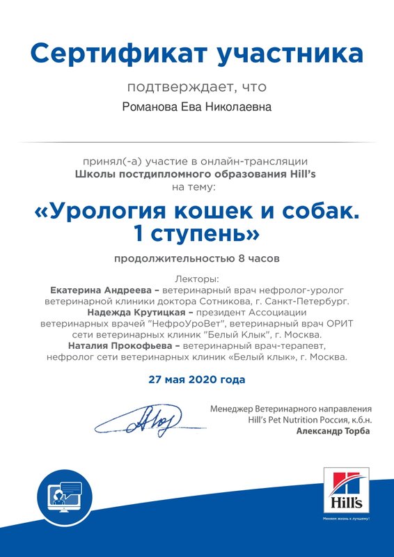 Документ или сертификат