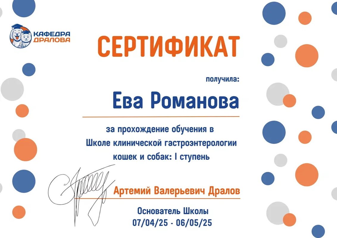 Документ или сертификат