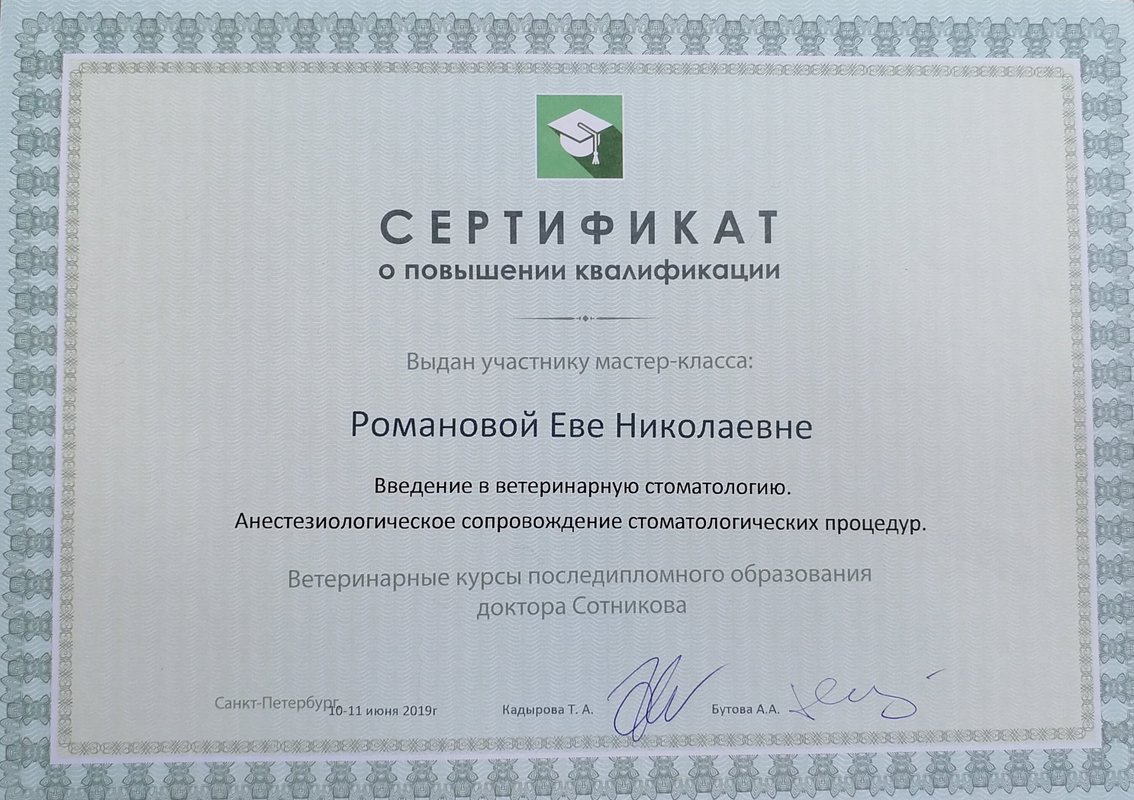 Документ или сертификат