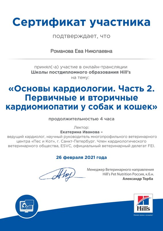 Документ или сертификат