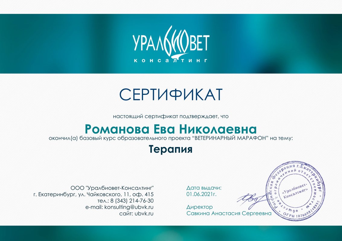Документ или сертификат