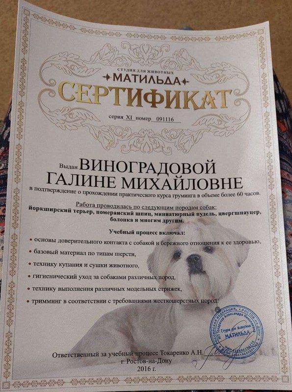 Документ или сертификат