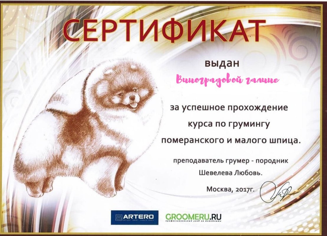Документ или сертификат