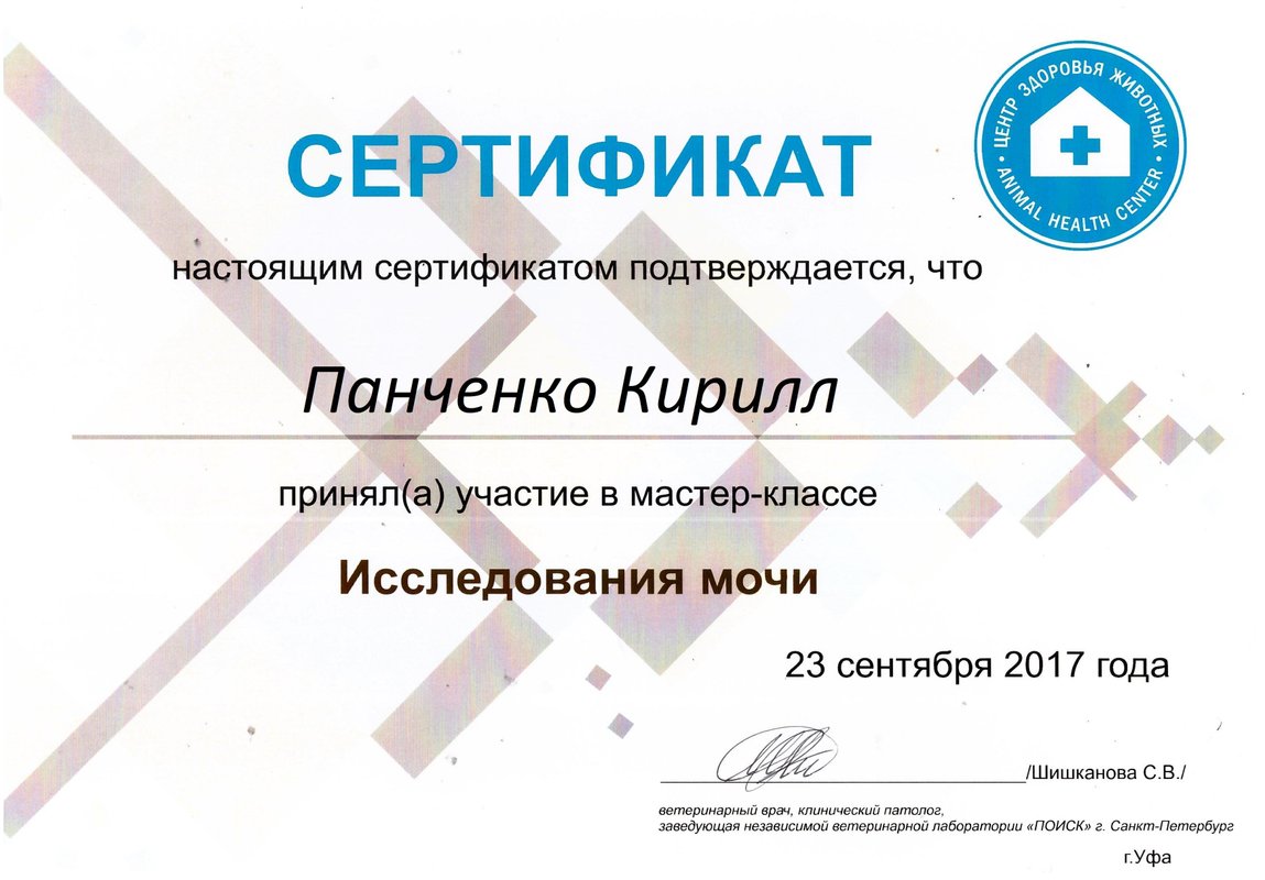 Документ или сертификат