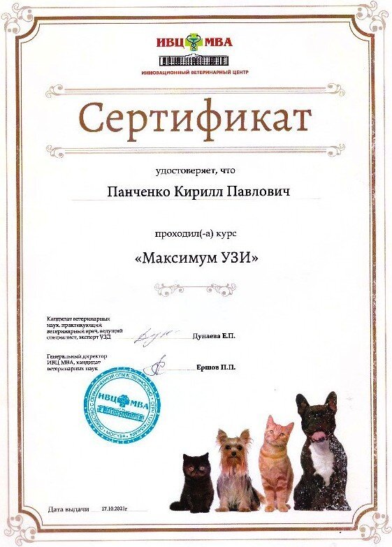 Документ или сертификат