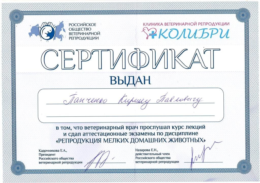 Документ или сертификат