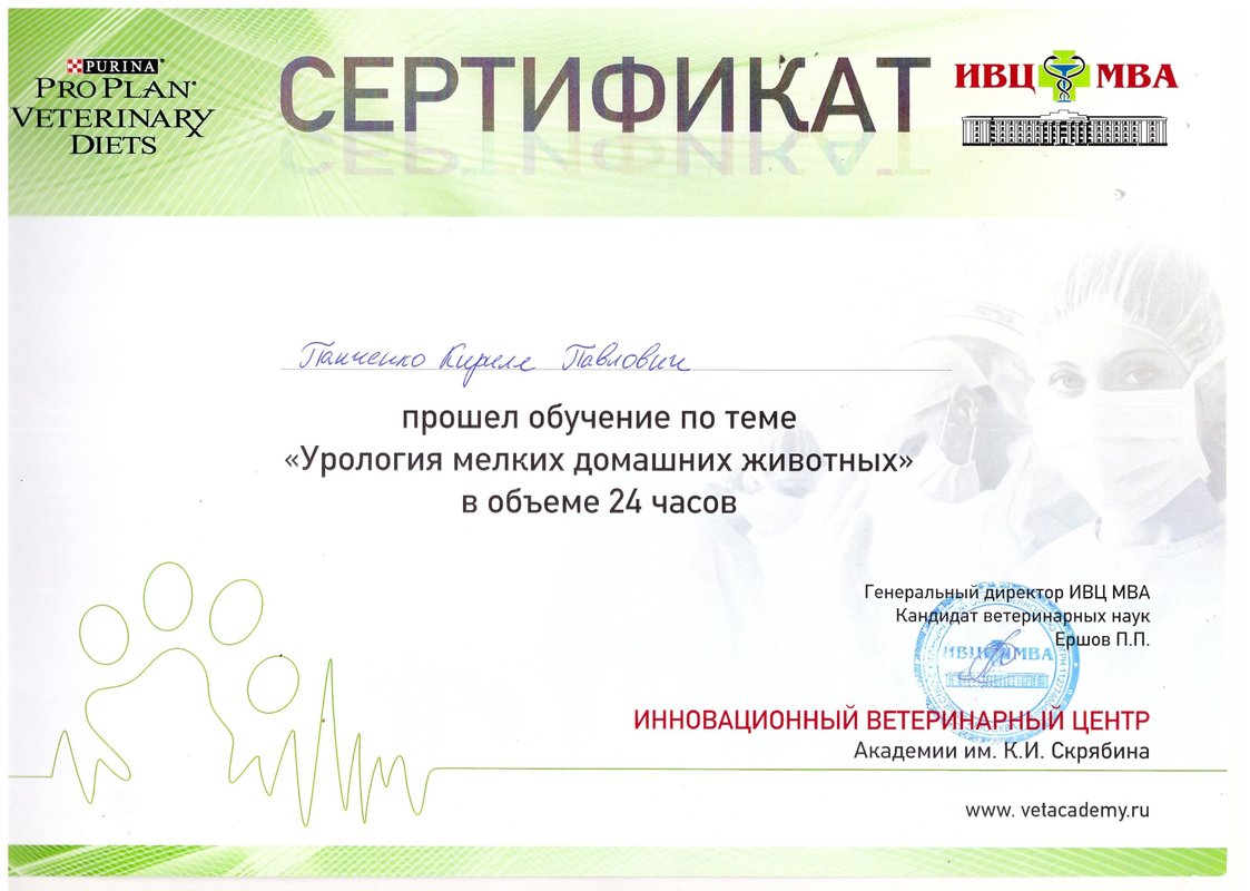 Документ или сертификат