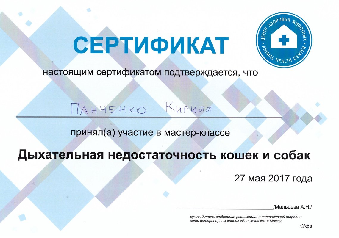 Документ или сертификат