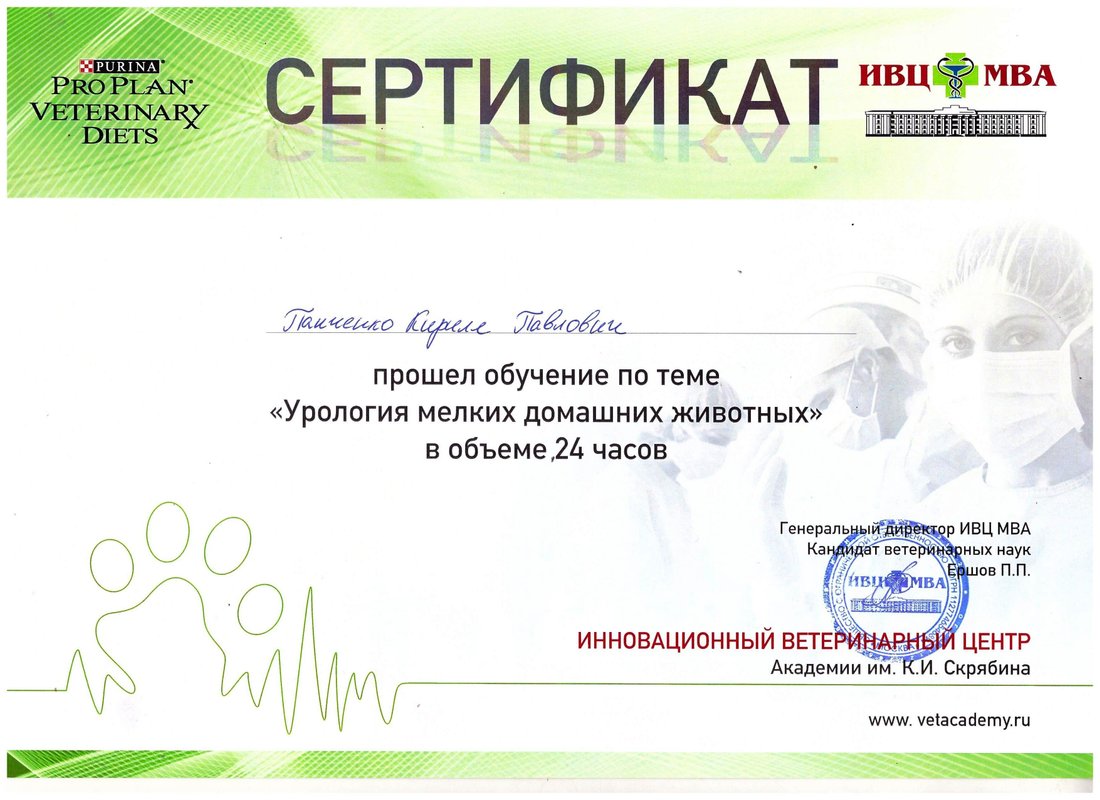 Документ или сертификат