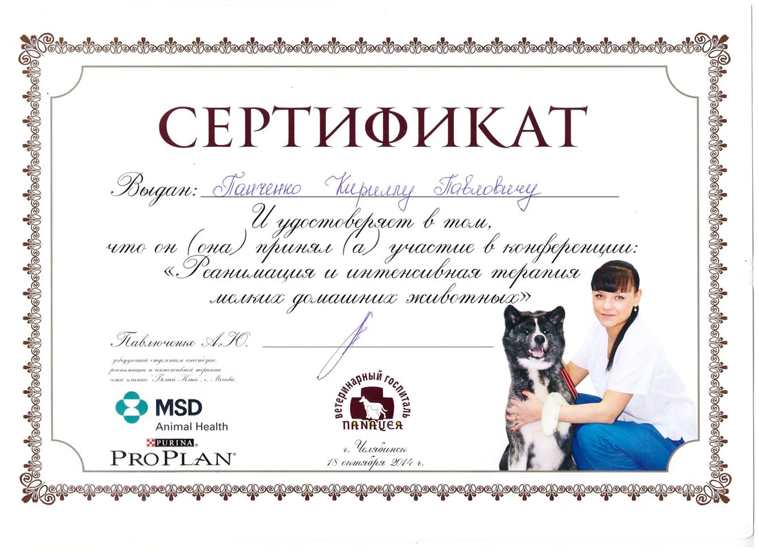 Документ или сертификат