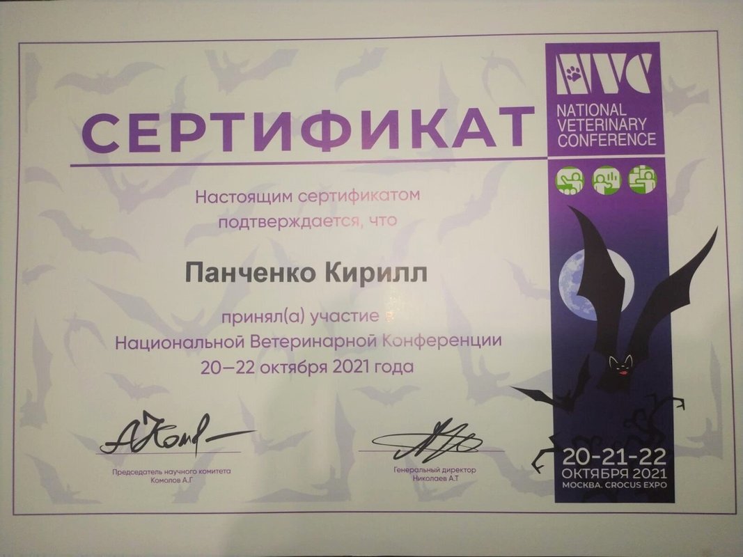 Документ или сертификат