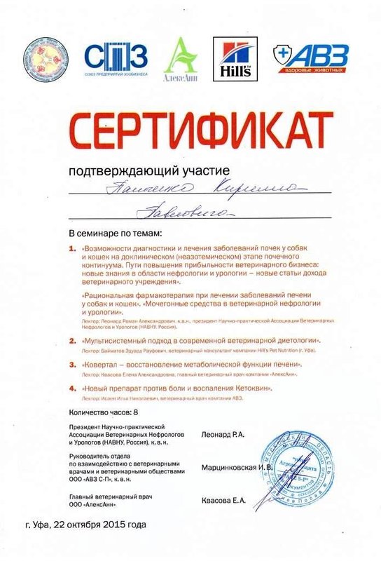 Документ или сертификат