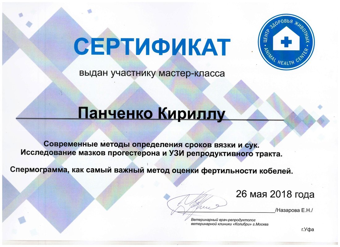 Документ или сертификат