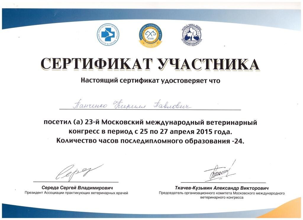 Документ или сертификат