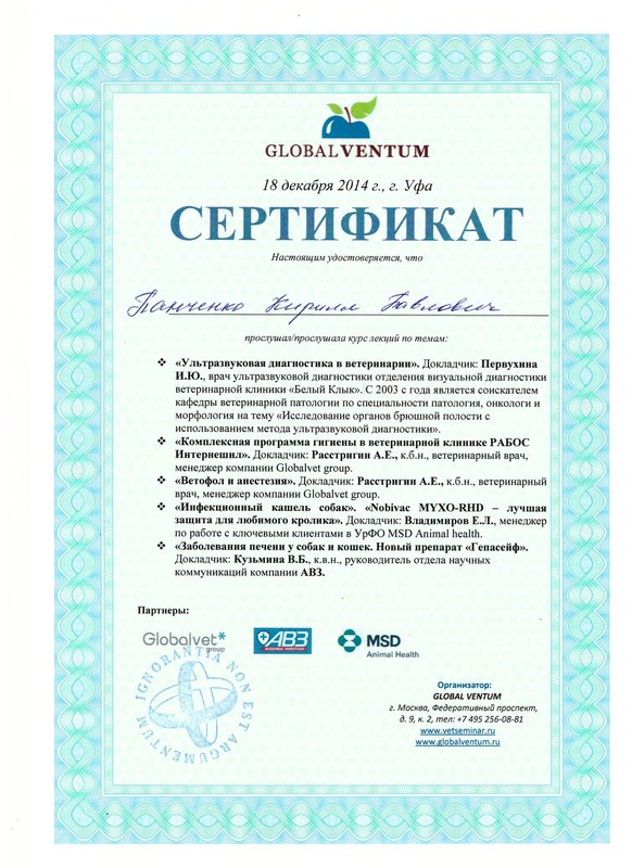 Документ или сертификат
