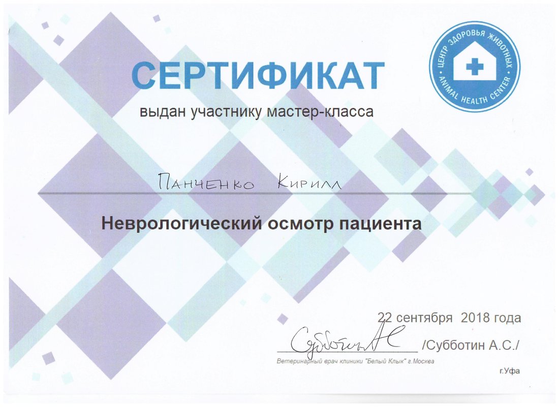 Документ или сертификат