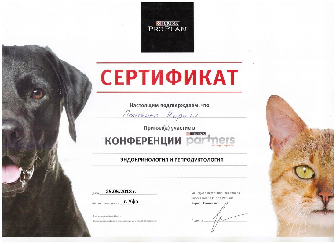 Документ или сертификат