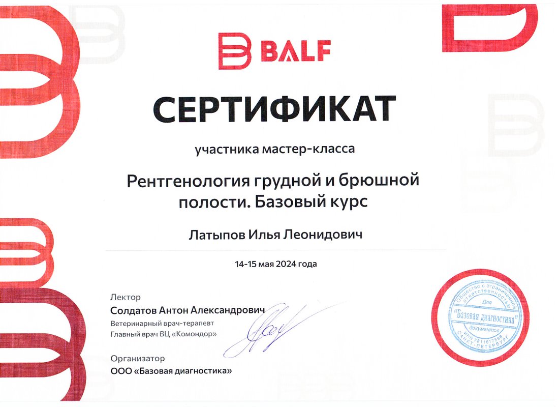 Документ или сертификат