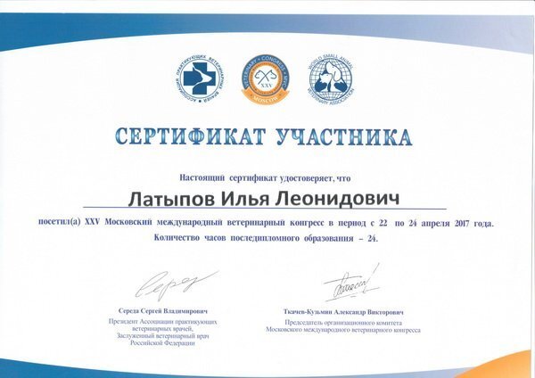 Документ или сертификат