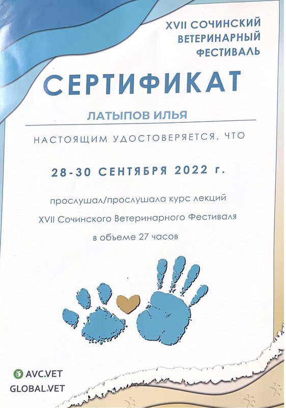 Документ или сертификат
