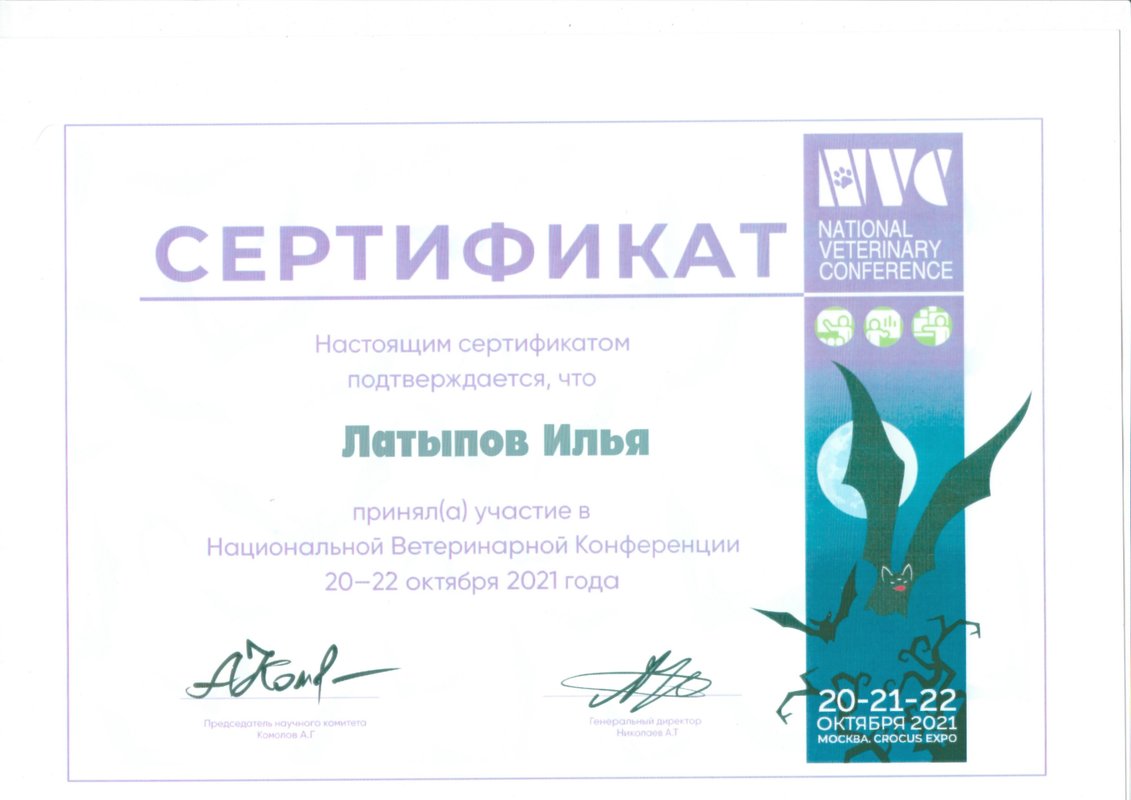 Документ или сертификат