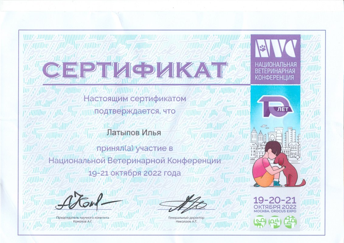 Документ или сертификат