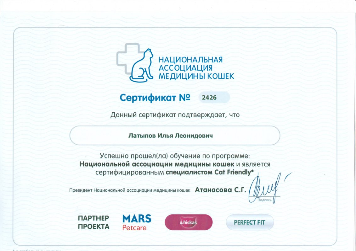 Документ или сертификат