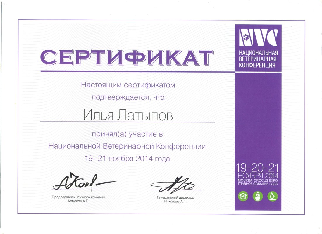 Документ или сертификат