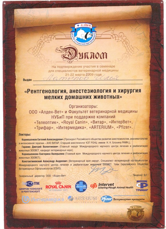 Документ или сертификат