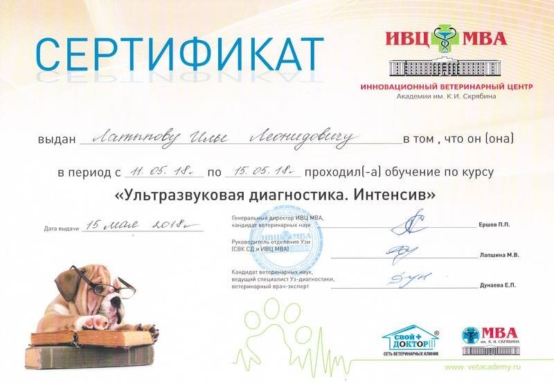 Документ или сертификат