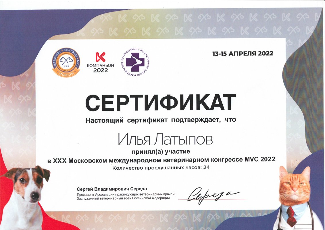 Документ или сертификат