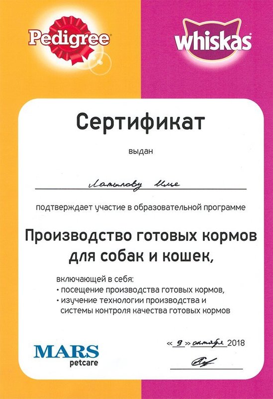 Документ или сертификат