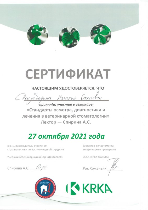 Документ или сертификат