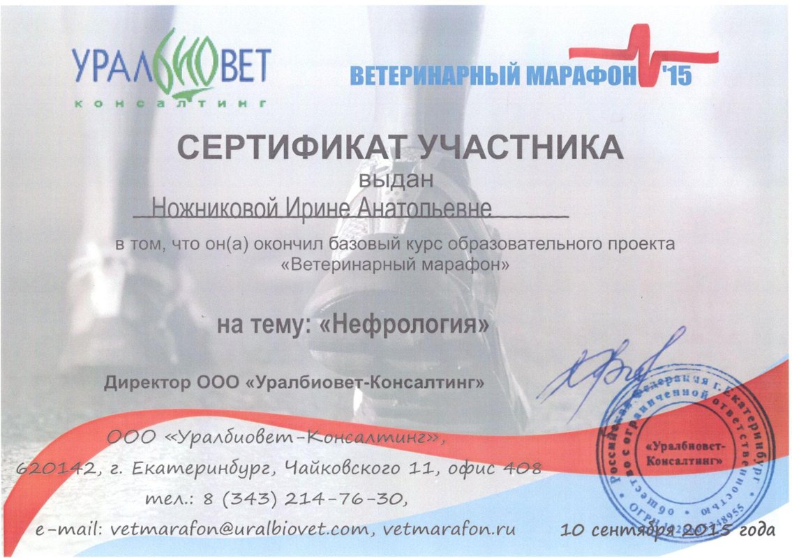 Документ или сертификат