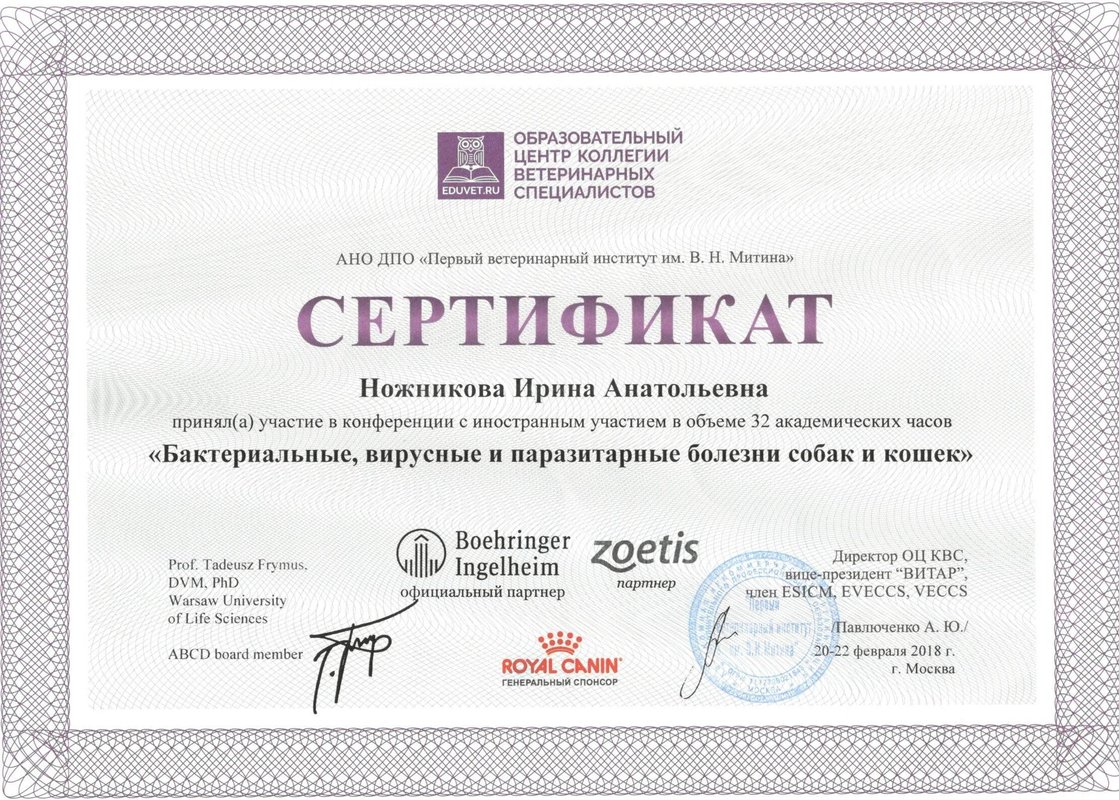 Документ или сертификат
