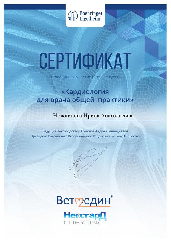 Документ или сертификат