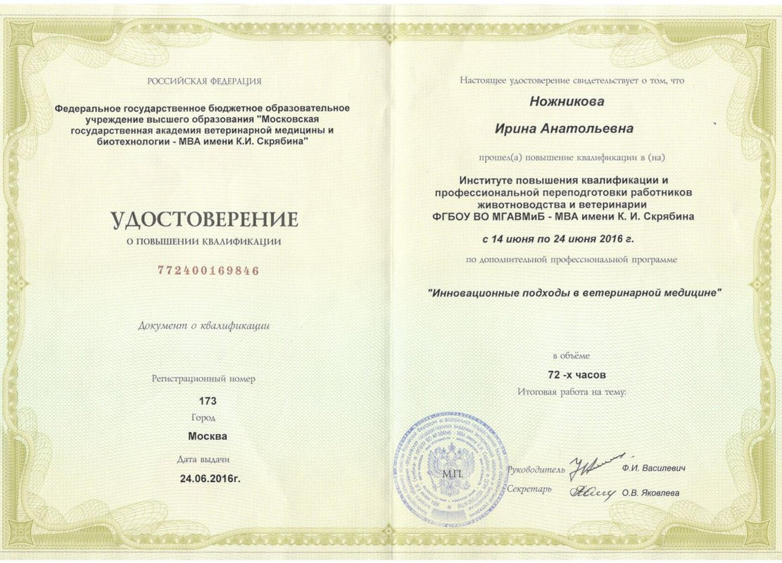 Документ или сертификат