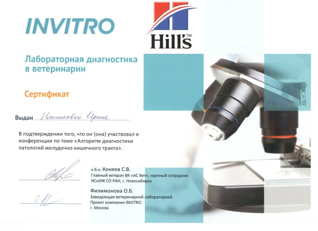 Документ или сертификат