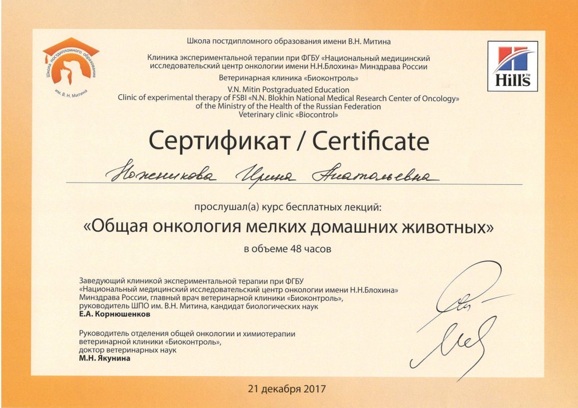 Документ или сертификат