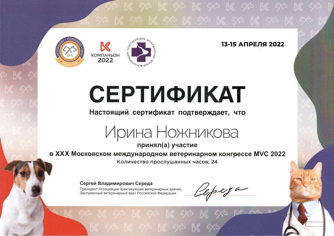 Документ или сертификат