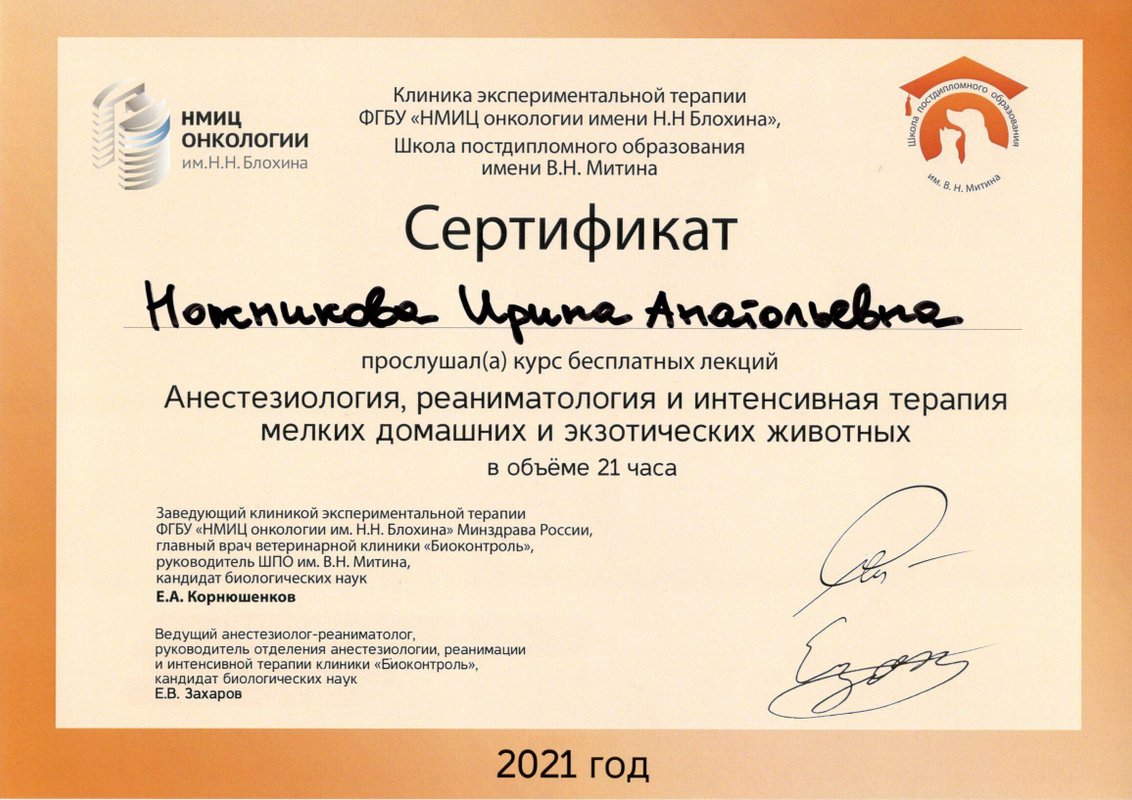 Документ или сертификат
