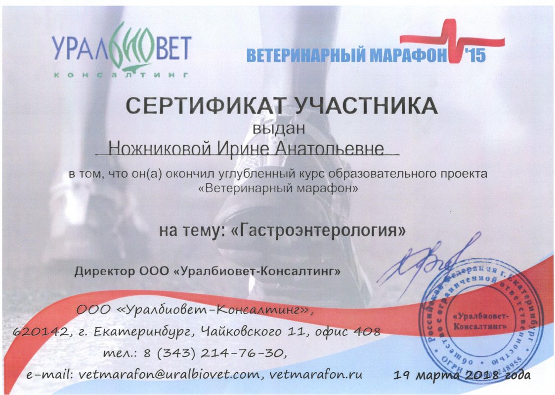 Документ или сертификат