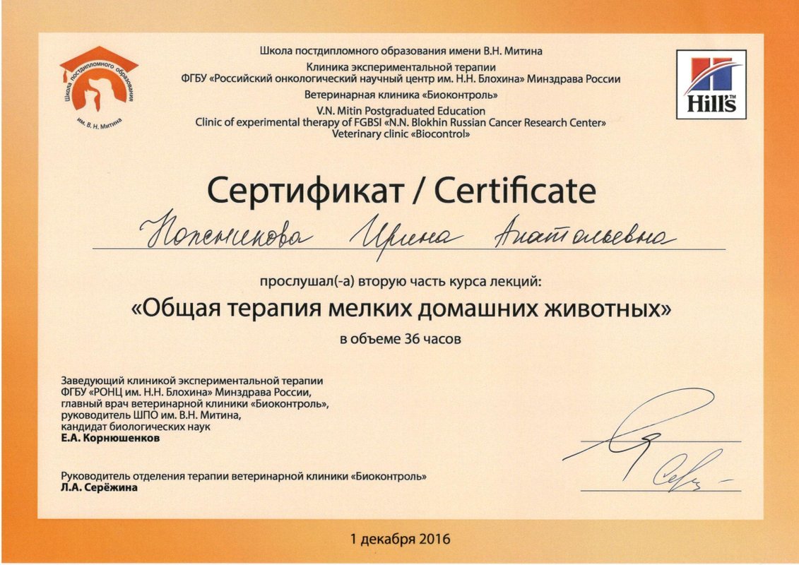Документ или сертификат
