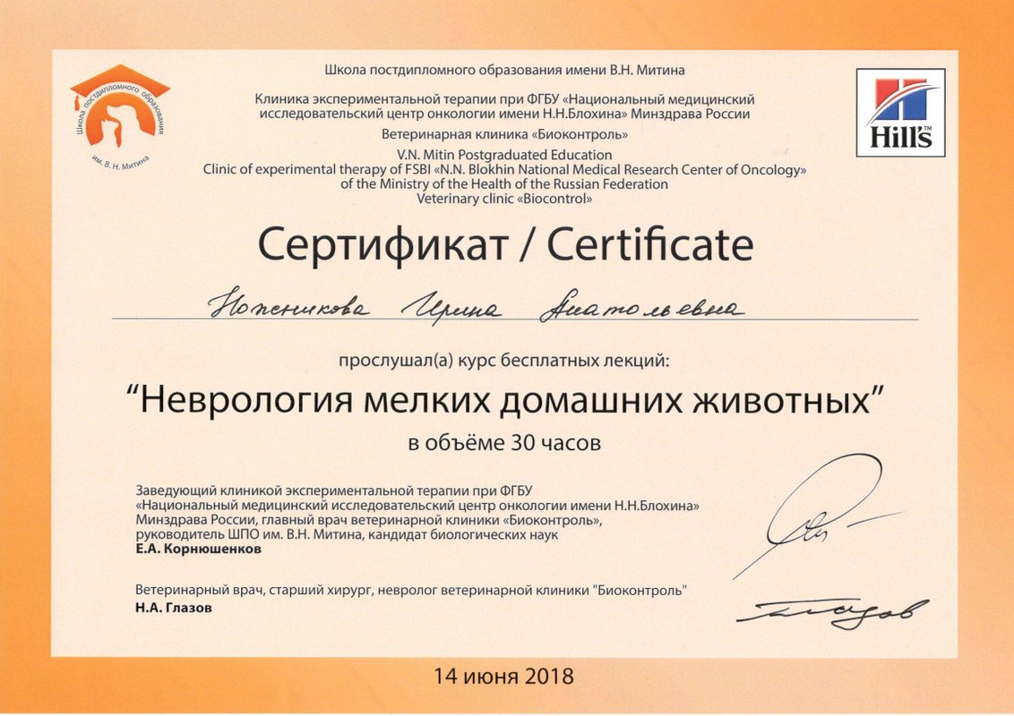 Документ или сертификат