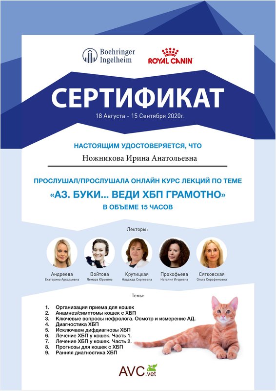 Документ или сертификат